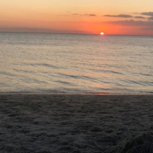 Meet your Posher, Cara - Picture 1 of 1